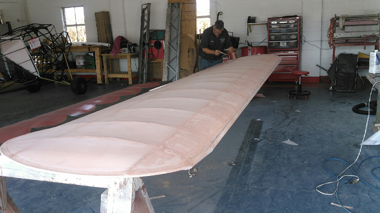 Polybrush Applied to Wing